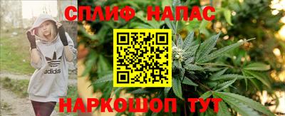 Альфа ПВП Будённовск