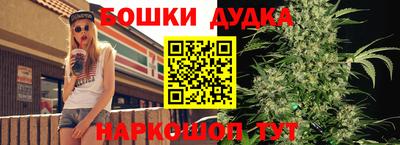 Альфа ПВП Будённовск