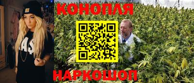 Альфа ПВП Будённовск
